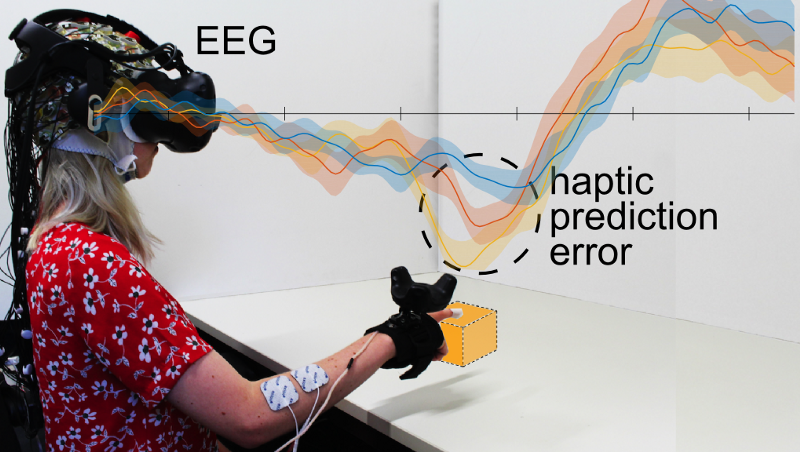Pinpointing Agency and Realism in the Brain During Electrical Muscle Stimulation